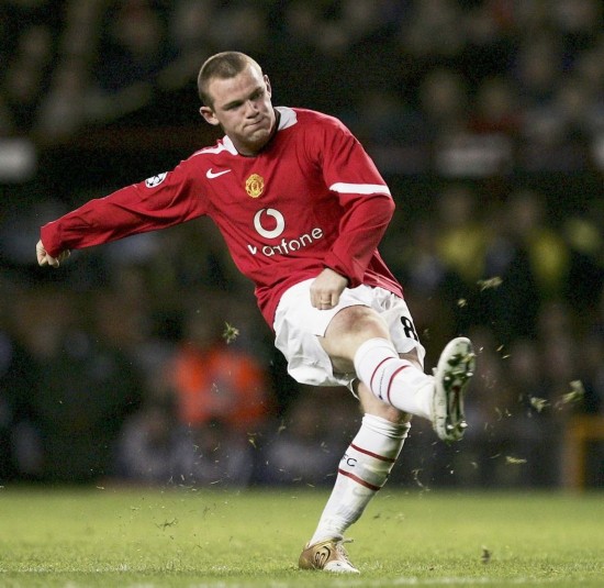 每年都吸引 每年都吸引